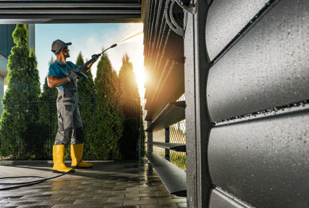Best Roof Washing  in Tecumseh, MI